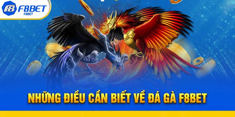 Cá Cược Đá Gà F8BET Và Những Sảnh Chơi Thú Vị