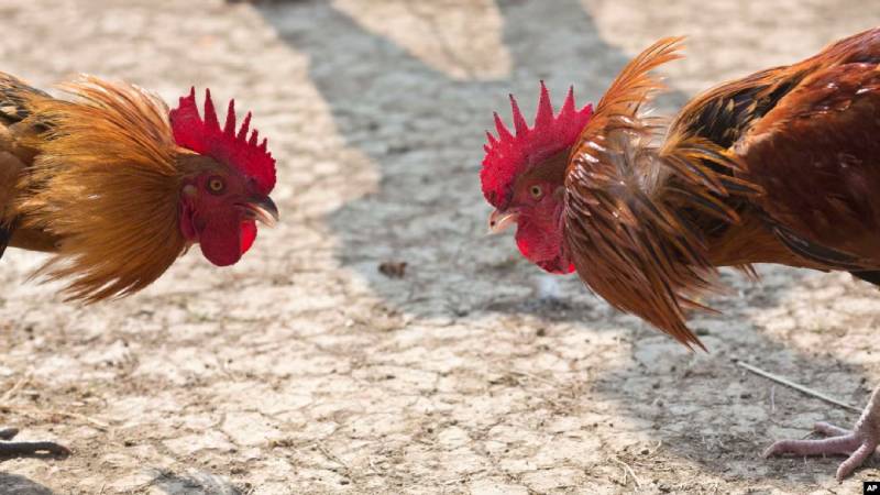 Chon Vi Tri Dung Thich Hop