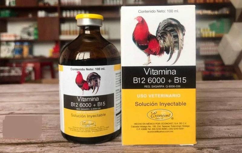 Hướng Dẫn Nuôi Gà Đá Cho Người Mới Chơi 5 Vitamin va Khoang Chat ga da